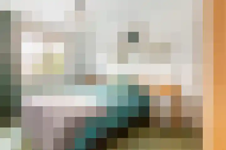 Zandaak 70 Velserbroek thumbnail 22