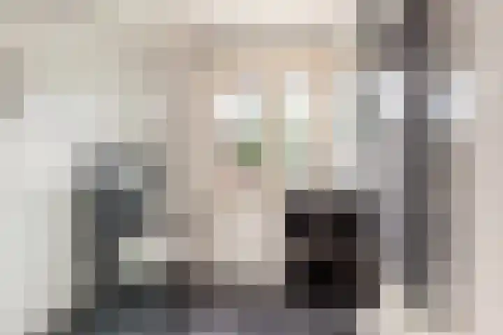 Zandaak 70 Velserbroek thumbnail 23
