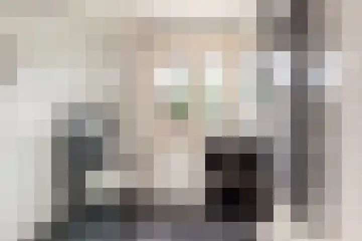 Zandaak 70 Velserbroek thumbnail 4
