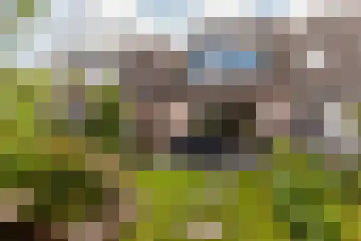 Zandaak 70 Velserbroek thumbnail 5