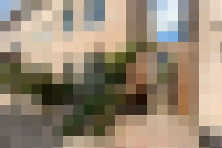 Zandaak 70 Velserbroek thumbnail 6