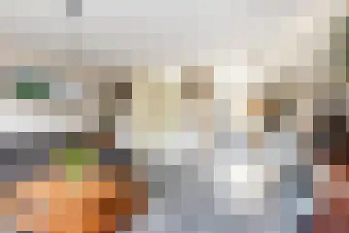 Zandaak 70 Velserbroek thumbnail 9