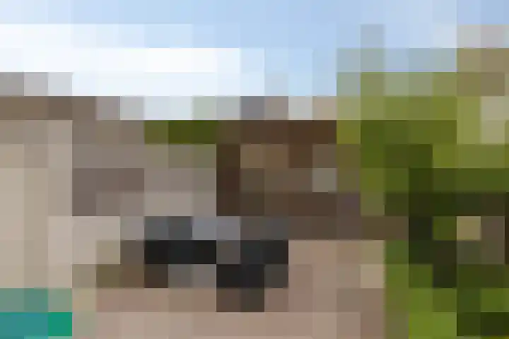 Zandacker 54 Oisterwijk thumbnail 26