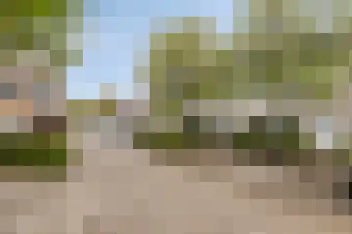 Zandacker 54 Oisterwijk thumbnail 28