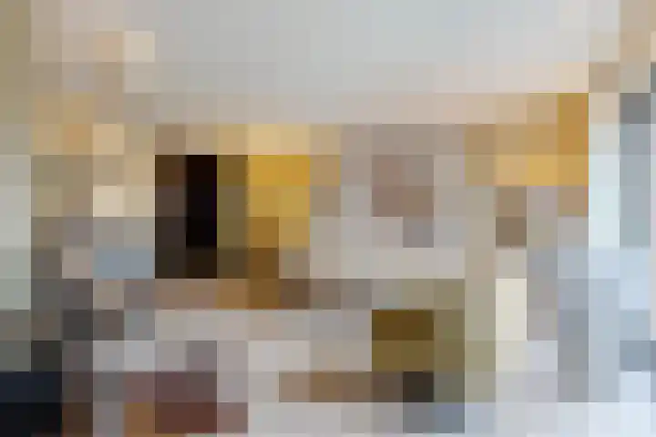 Zandakker 12 Heerde thumbnail 19