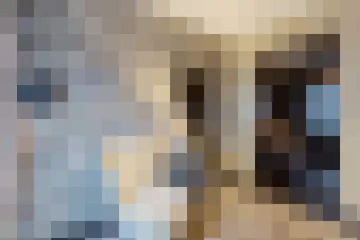 Zandakker 12 Heerde thumbnail 20