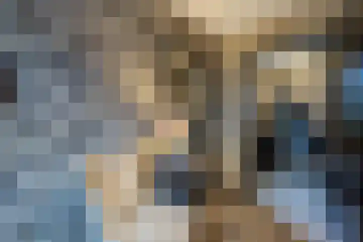 Zandakker 12 Heerde thumbnail 23