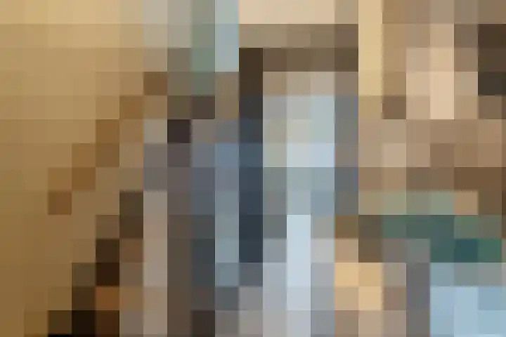 Zandakker 12 Heerde thumbnail 26