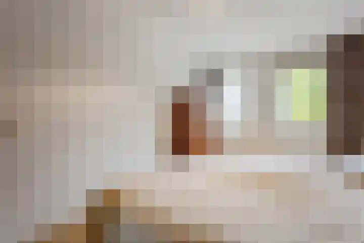 Zandakker 12 Heerde thumbnail 31