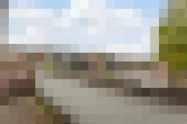 Zandakker 12 Heerde thumbnail 32
