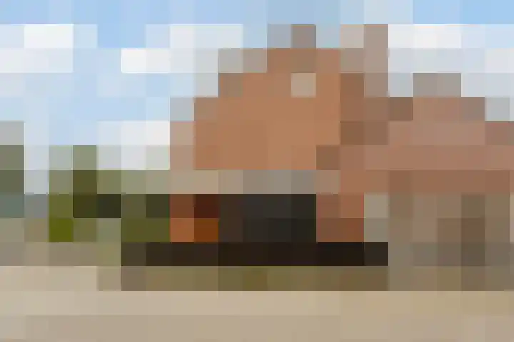 Zandakker 12 Heerde thumbnail 4