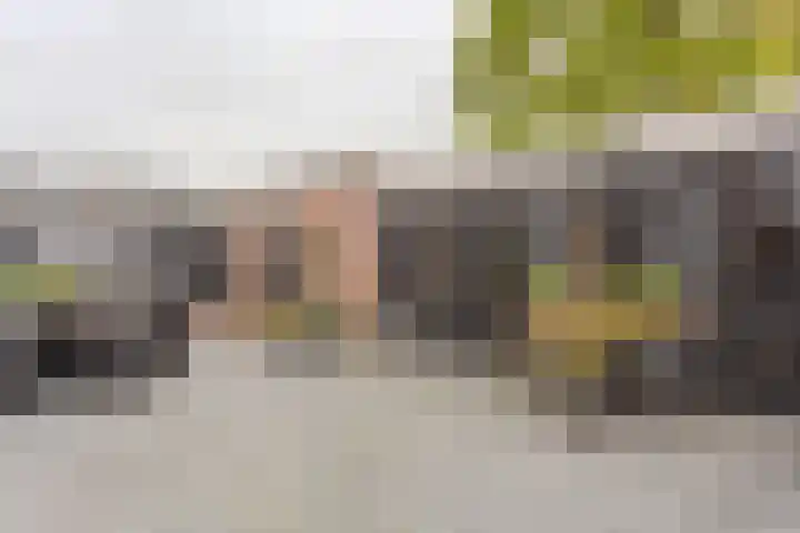 Zandakker 12 Heerde thumbnail 51