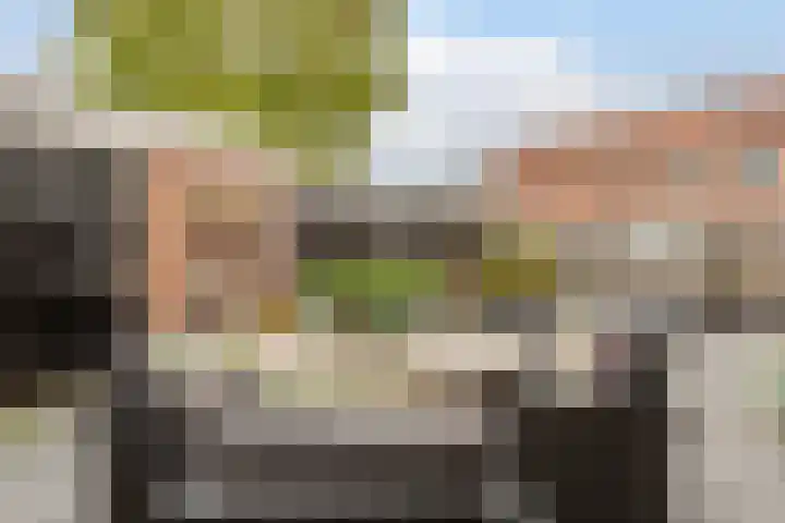 Zandakker 12 Heerde thumbnail 52