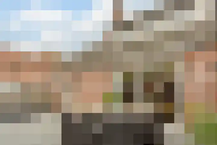 Zandakker 12 Heerde thumbnail 53