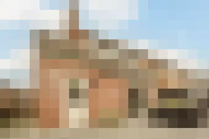 Zandakker 12 Heerde thumbnail 54