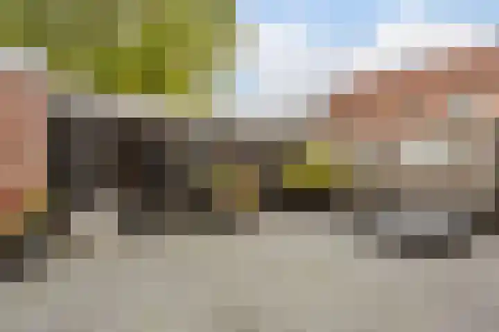 Zandakker 12 Heerde thumbnail 55