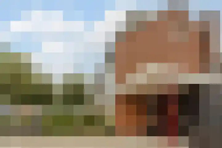Zandakker 12 Heerde thumbnail 6