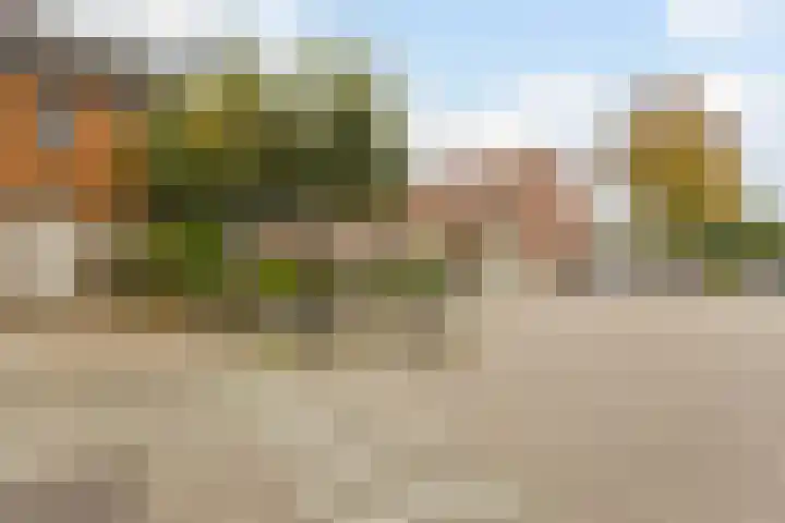 Zandakker 12 Heerde thumbnail 60