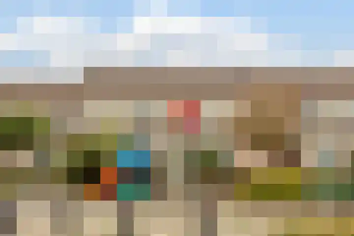 Zandakker 12 Heerde thumbnail 61