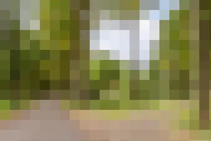 Zandakker 12 Heerde thumbnail 62