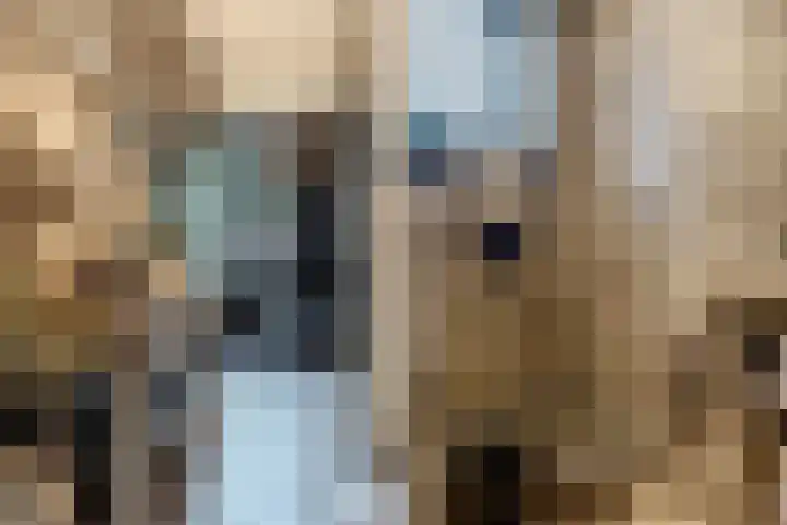 Zandakker 12 Heerde thumbnail 8