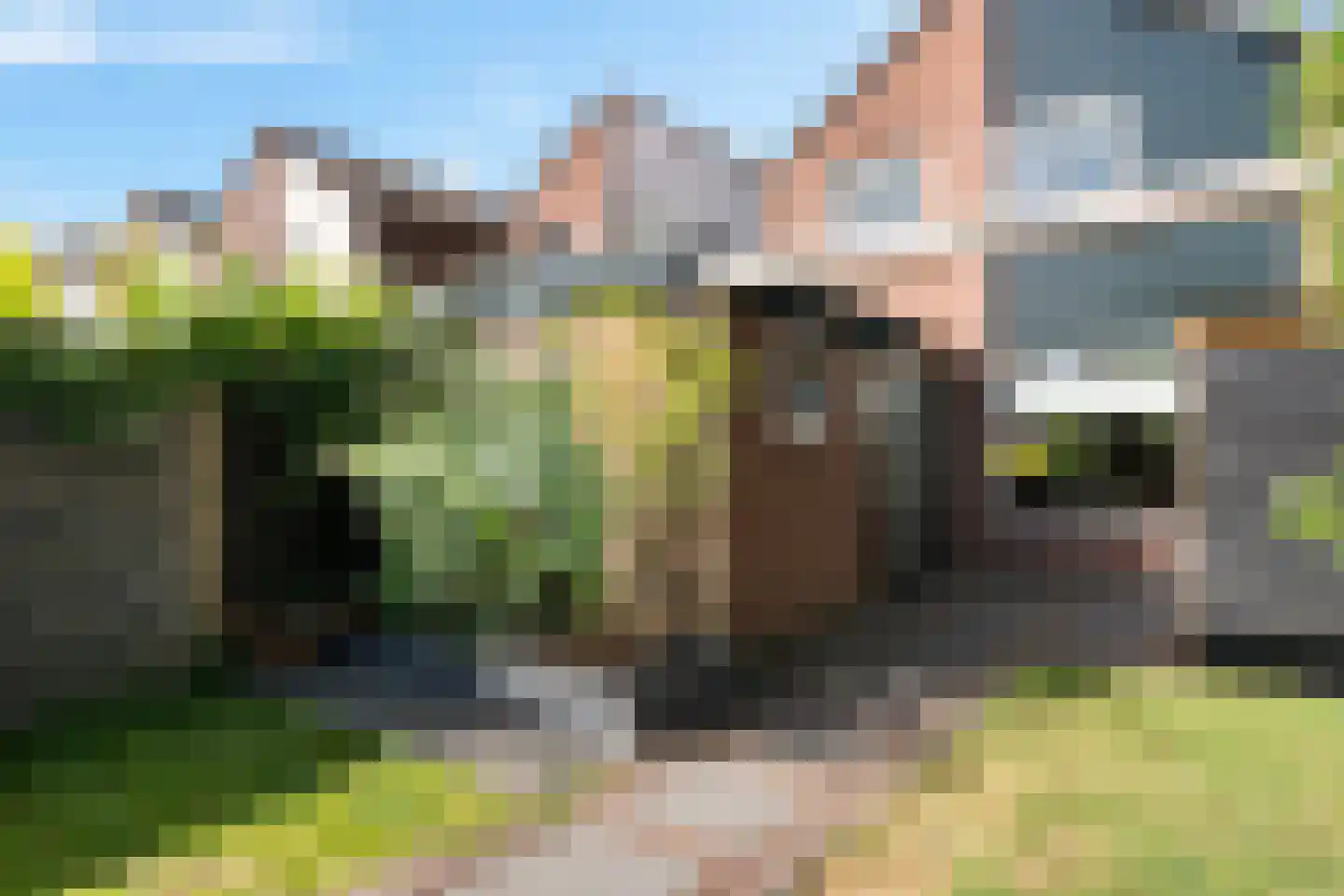 Zandakker 18 Noord-Scharwoude thumbnail 29