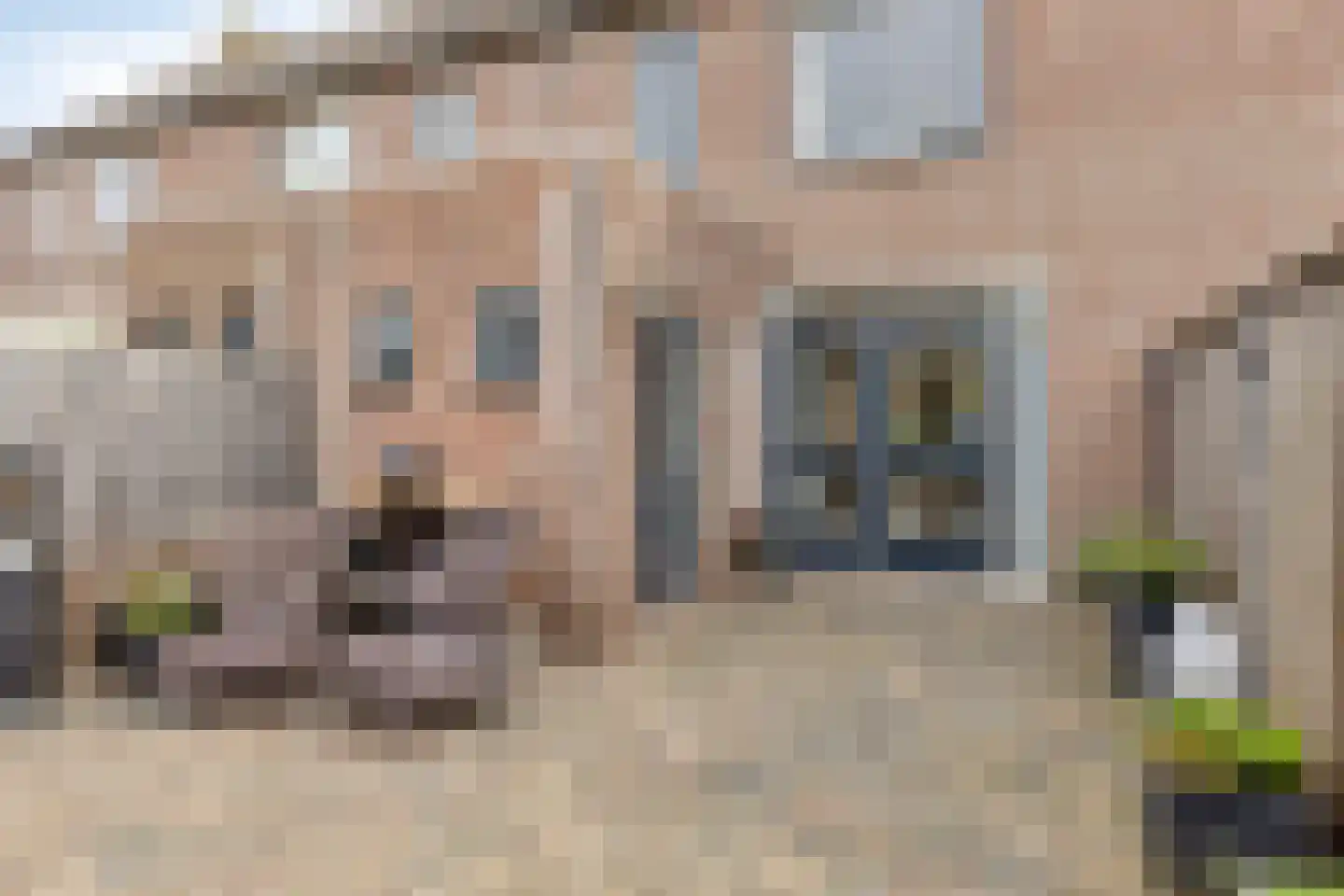 Zandakker 18 Wagenberg thumbnail 32