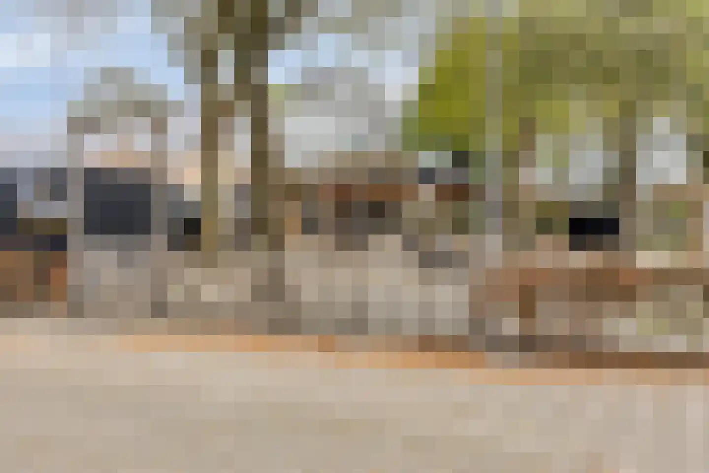 Zandakker 18 Wagenberg thumbnail 36