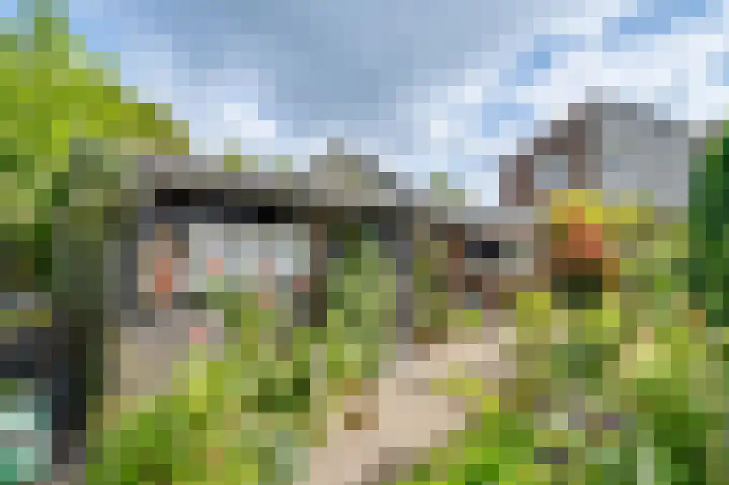 Zandakker 27 Noord-Scharwoude thumbnail 33