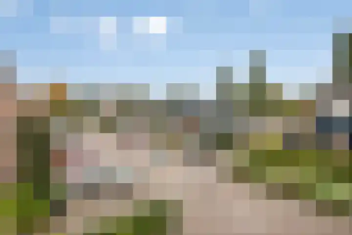 Zandakker 57 Heerde thumbnail 26