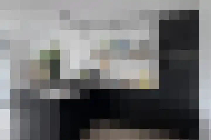 Zandakker 57 Heerde thumbnail 8