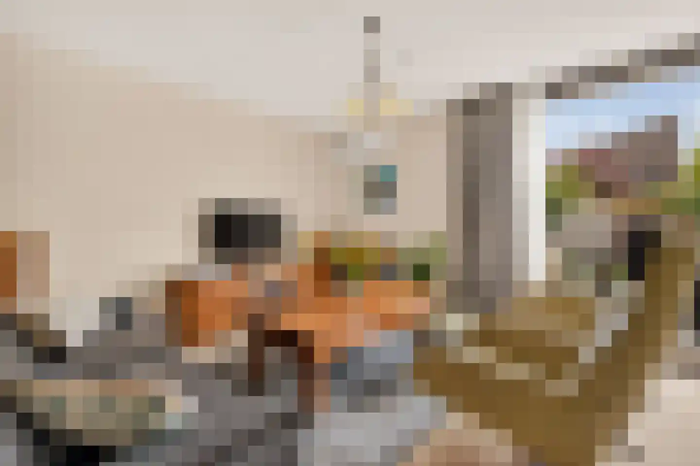 Zandbaars 34 Eindhoven thumbnail 13