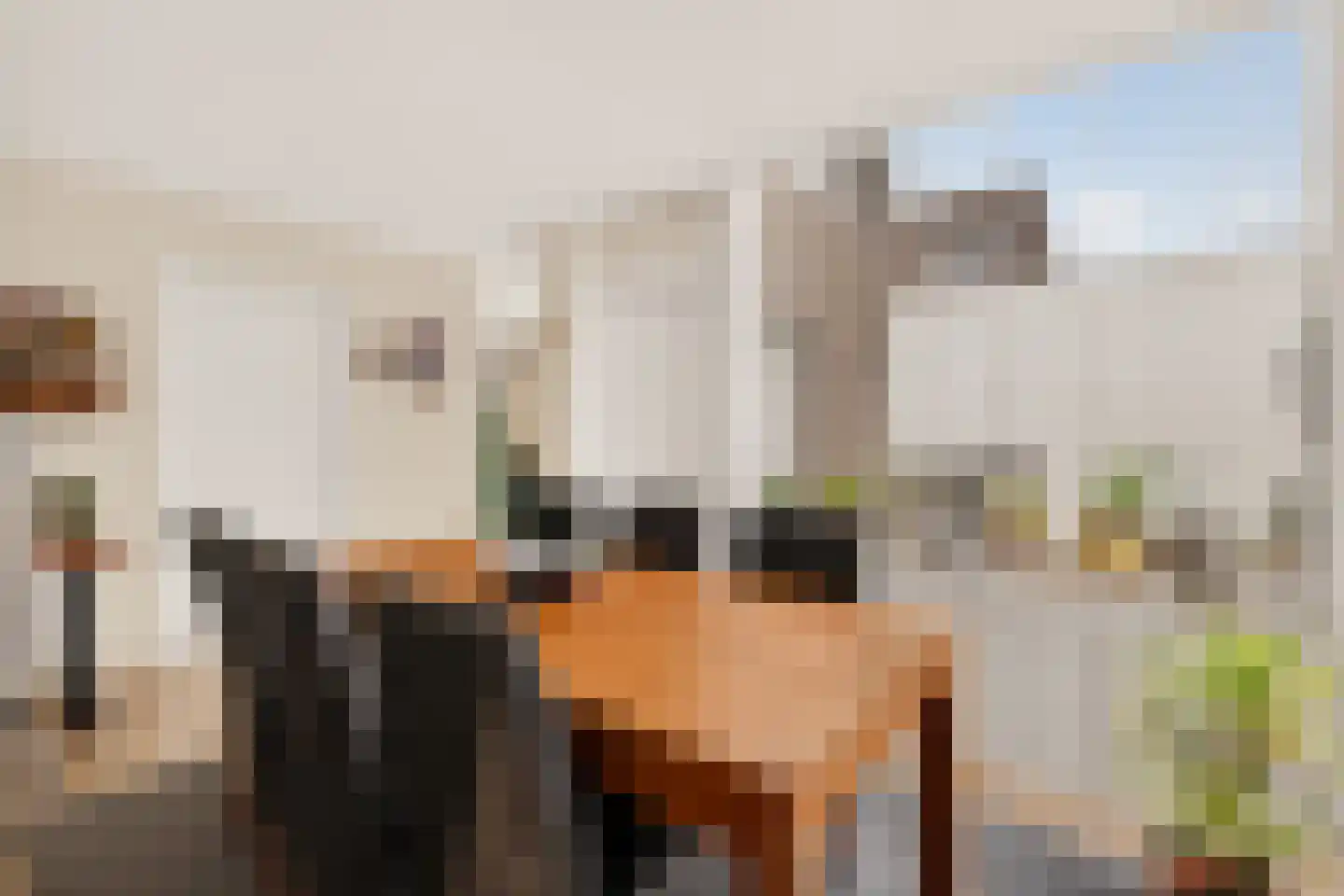 Zandbaars 34 Eindhoven thumbnail 17