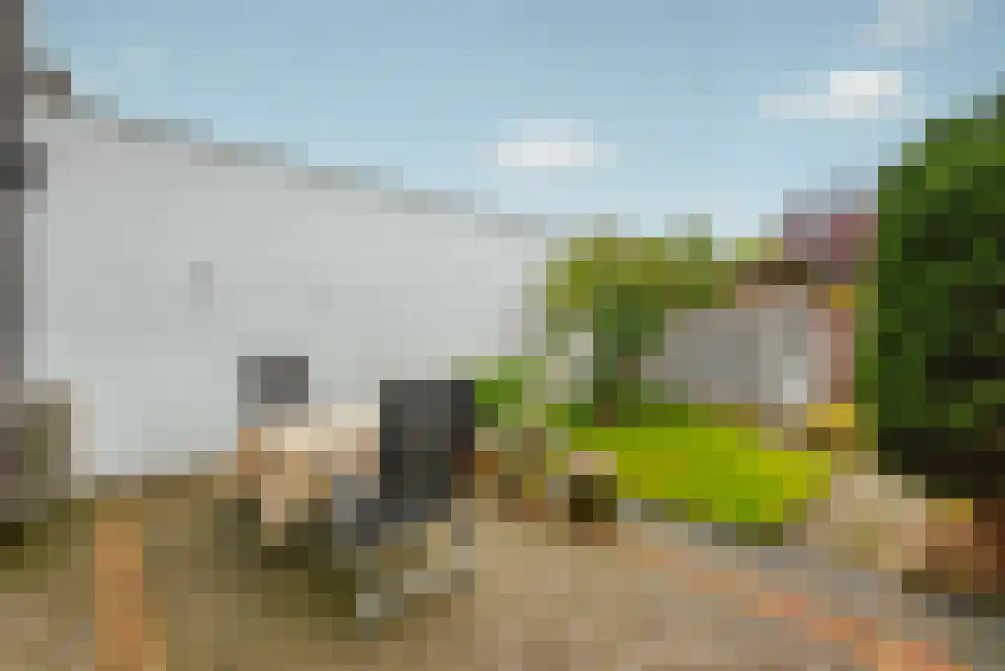Zandbaars 34 Eindhoven thumbnail 22