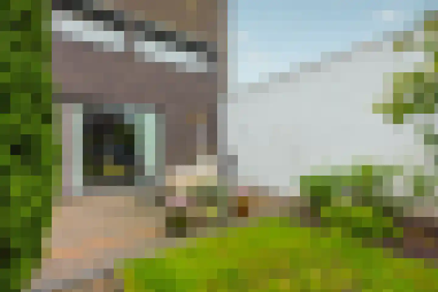 Zandbaars 34 Eindhoven thumbnail 27