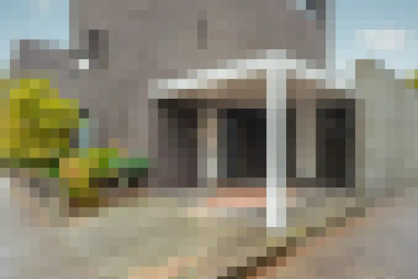 Zandbaars 34 Eindhoven thumbnail 45