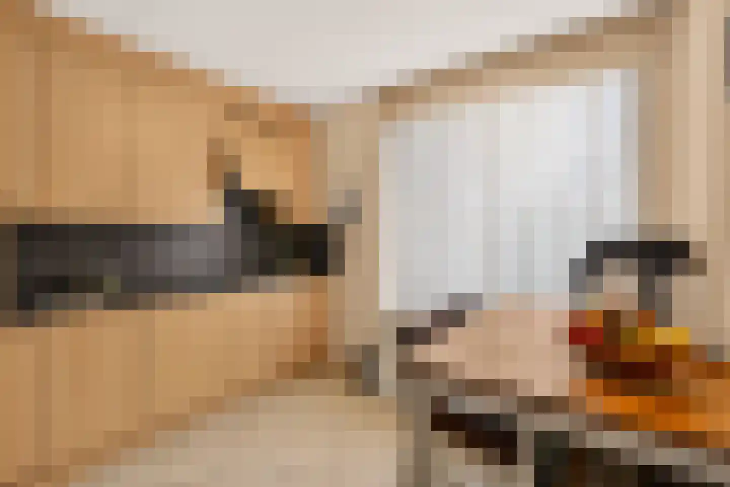 Zandbaars 34 Eindhoven thumbnail 5