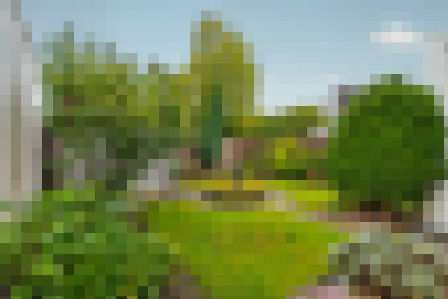 Zandbaars 34 Eindhoven thumbnail 7