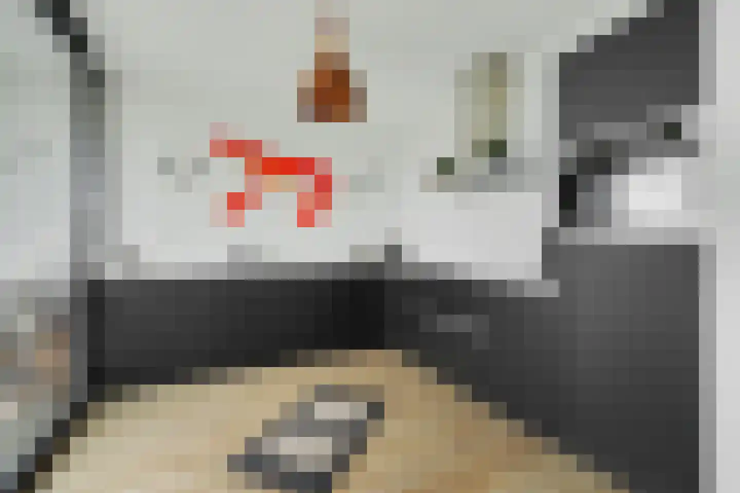 Zandbank 1 Kamperland thumbnail 12