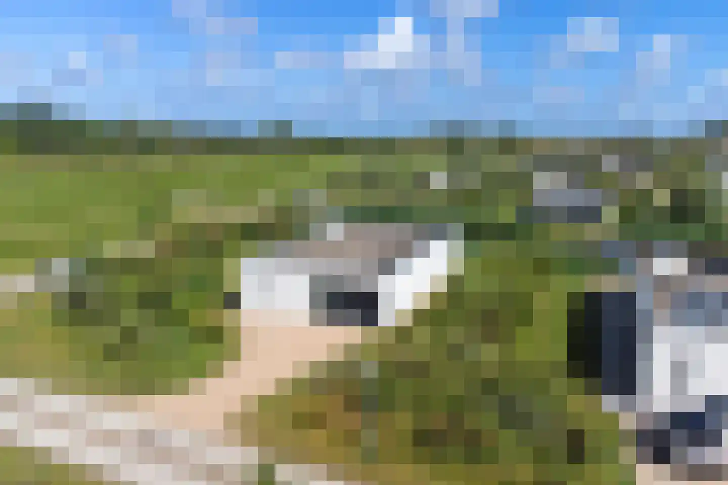 Zandbank 1 Kamperland thumbnail 25
