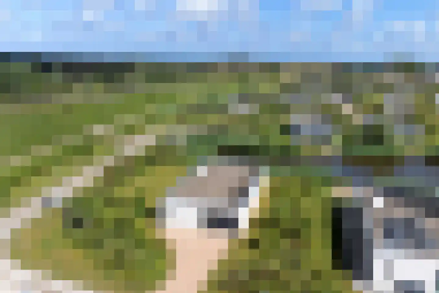 Zandbank 1 Kamperland thumbnail 26
