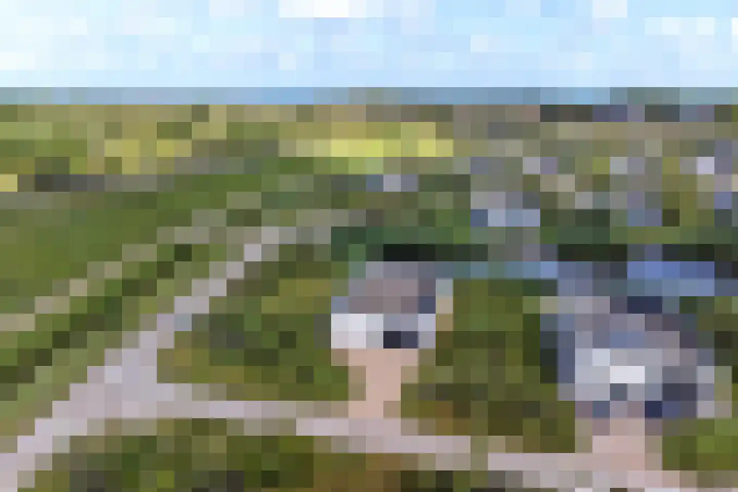 Zandbank 1 Kamperland thumbnail 28