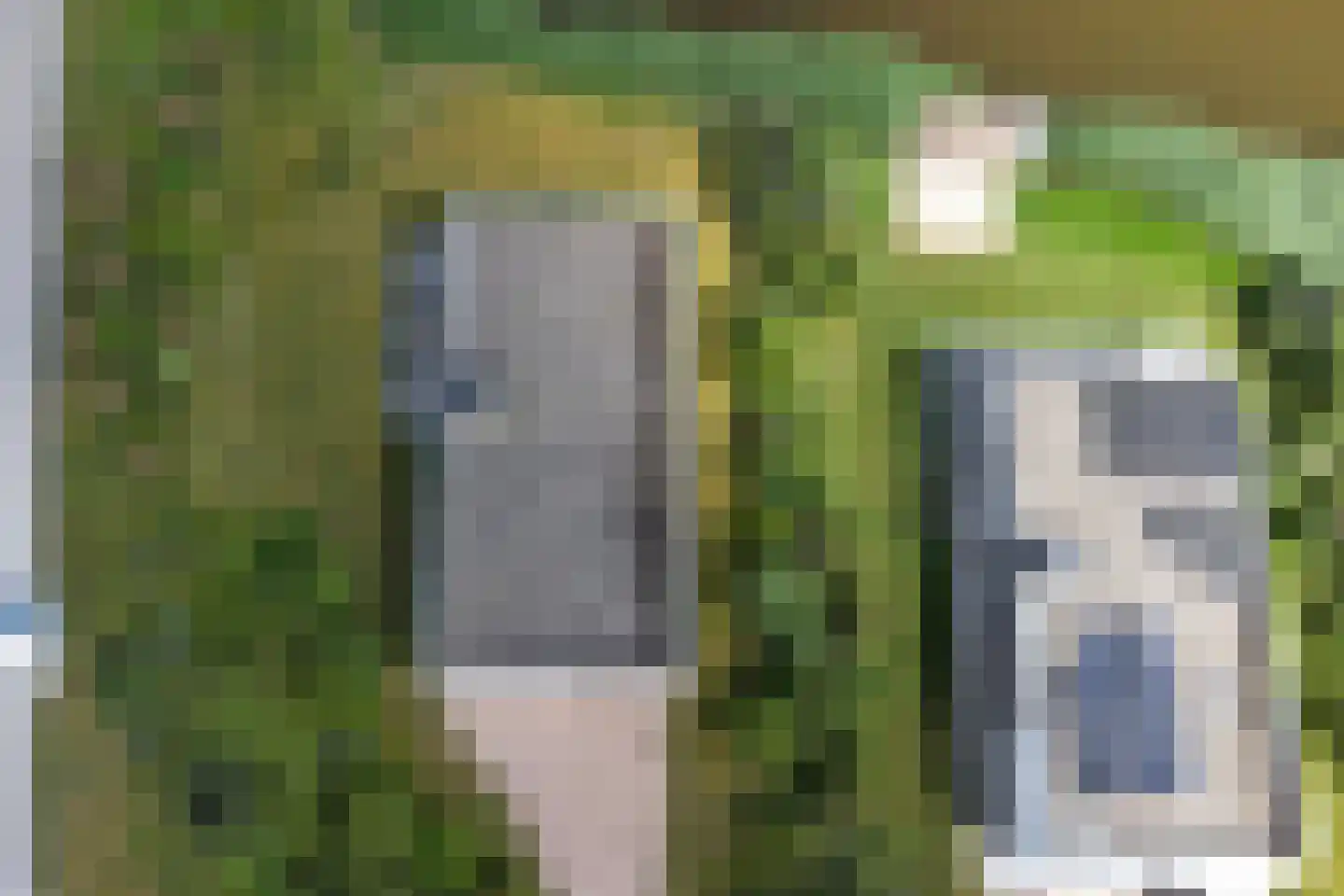 Zandbank 1 Kamperland thumbnail 29