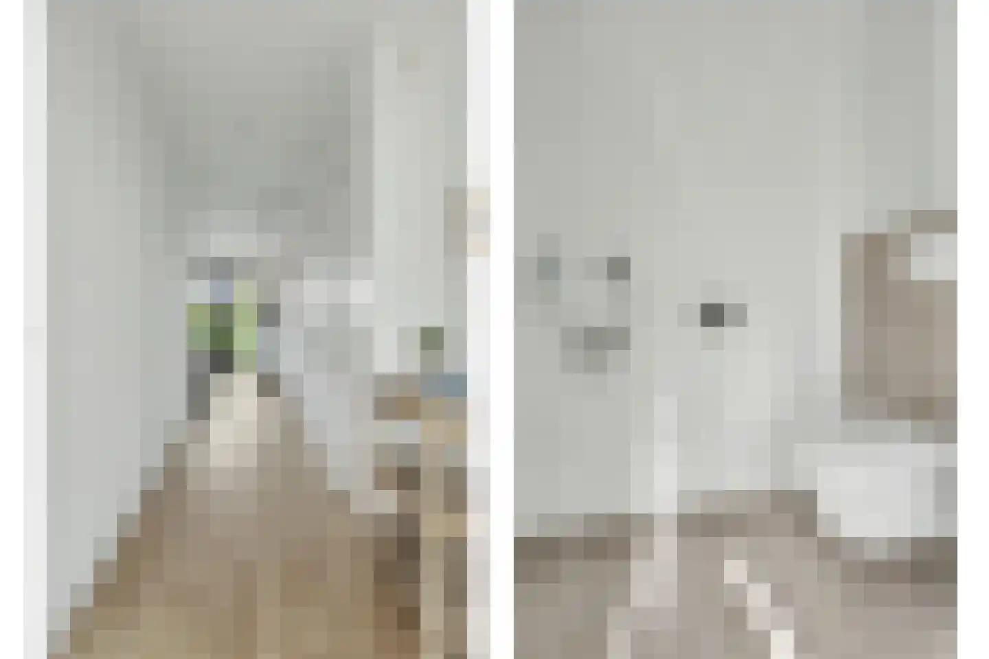 Zandbank 1 Kamperland thumbnail 6