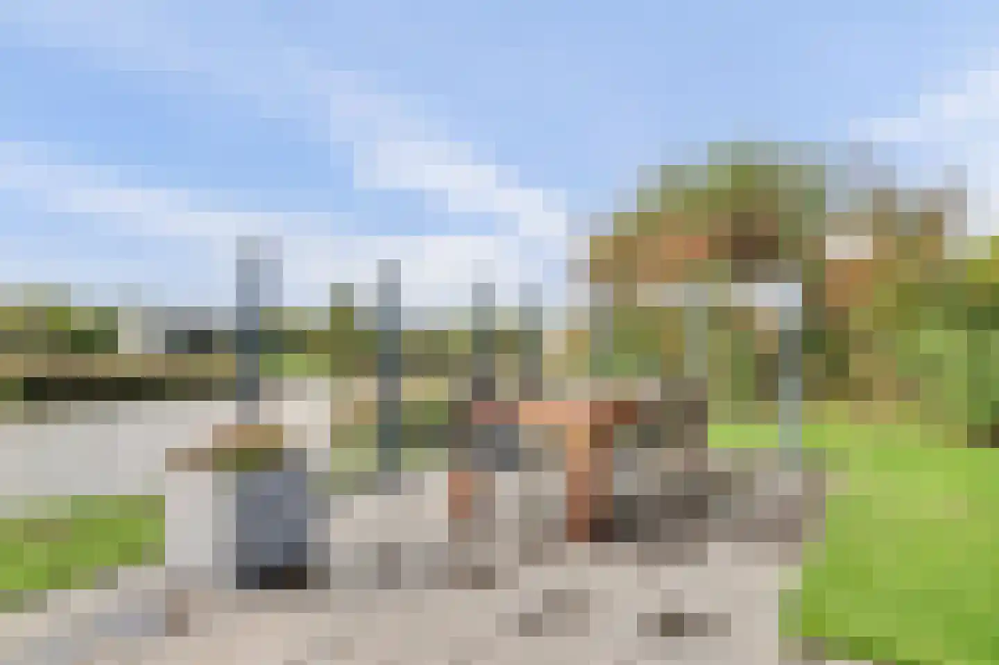 Zandbank 10 Kamperland thumbnail 23
