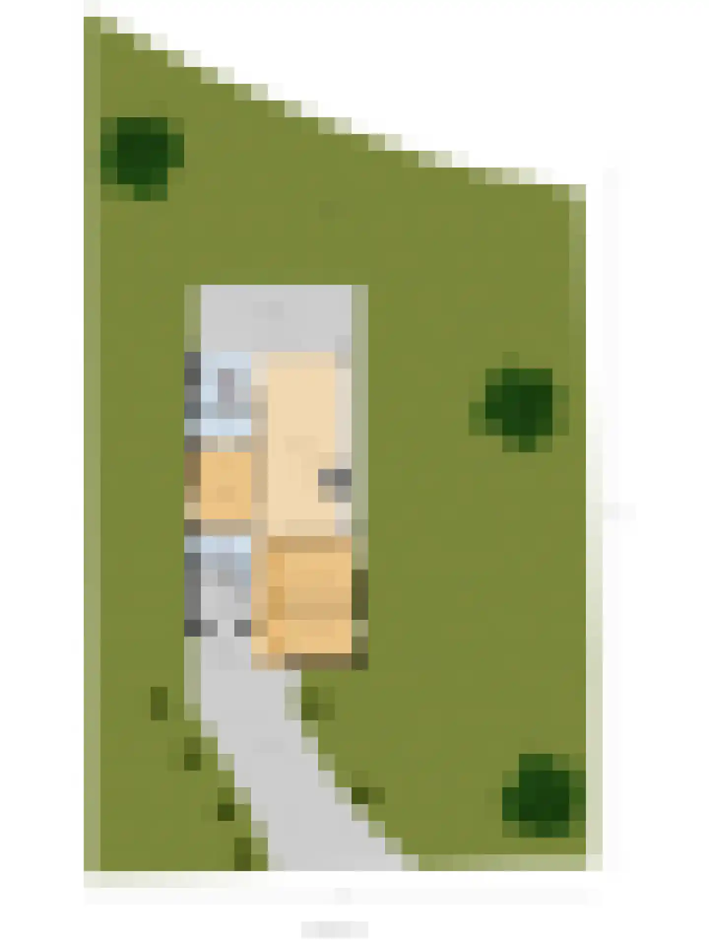 Zandbank 10 Kamperland thumbnail 34