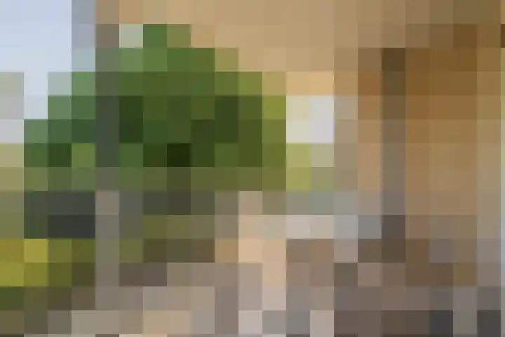 Zandbank 13 Noordwijk thumbnail 17