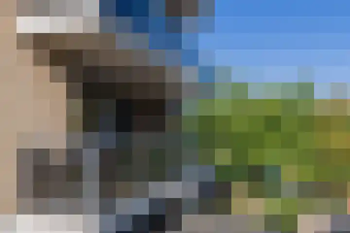Zandbank 13 Noordwijk thumbnail 18