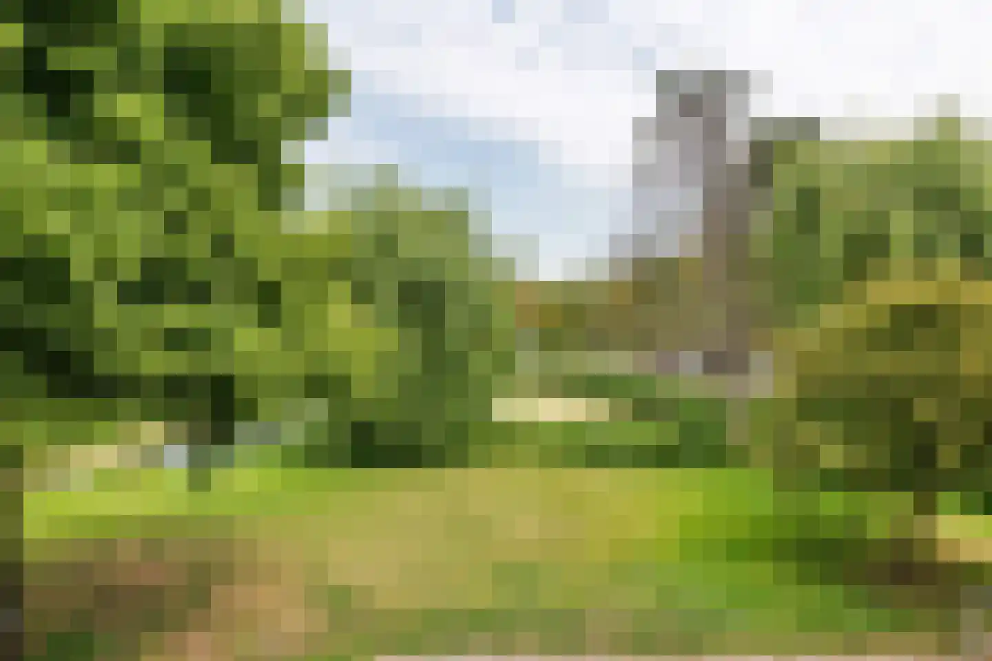 Zandbank 14 Noordwijk thumbnail 13