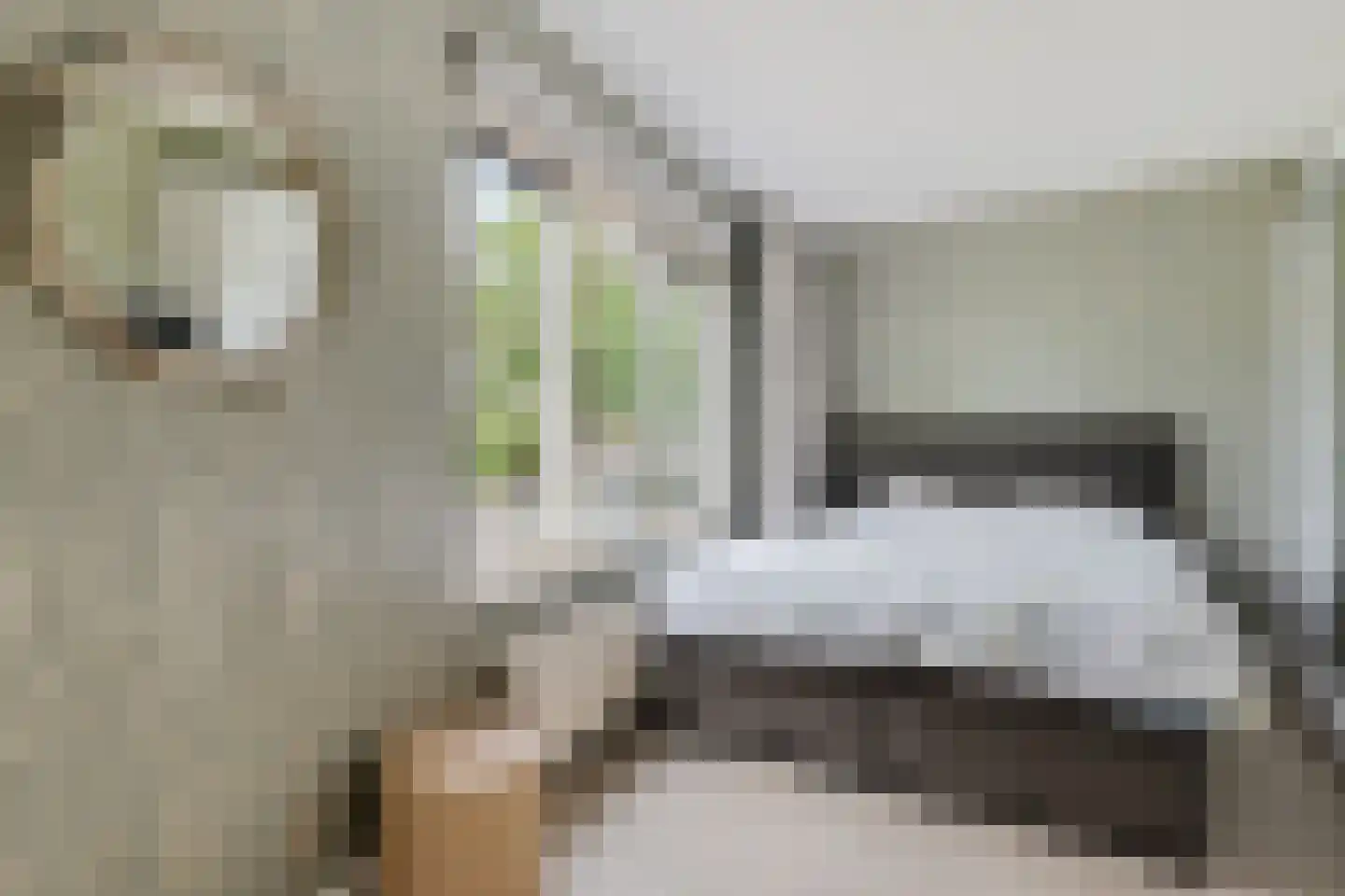 Zandbank 14 Noordwijk thumbnail 16